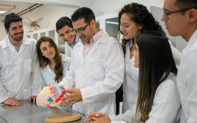 Neurosciences et intelligence artificielle: essor fulgurant, enjeux éthiques et écologiques