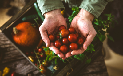 Innovations vertes : agriculture biologique alliant capteurs, robots, biostimulants et blockchain