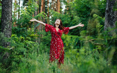 Phytothérapie 2024, le retour des remèdes végétaux dans nos armoires