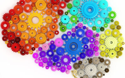 Cinq percées neuroscientifiques 2024 bouleversent profondément notre compréhension du cerveau