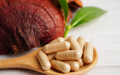 Phytothérapie moderne: chiffres, conseils pratiques, rituels d’infusions et précautions essentielles