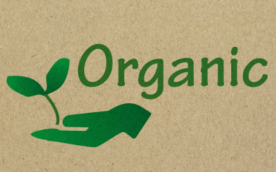 Bio 2.0 : innovations, chiffres et défis de la transition verte