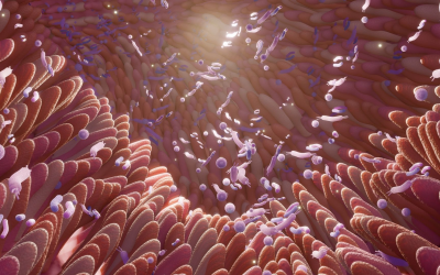 Addictions numériques bouleversent prévention 2024 entre algorithmes, vape, sachets, paris